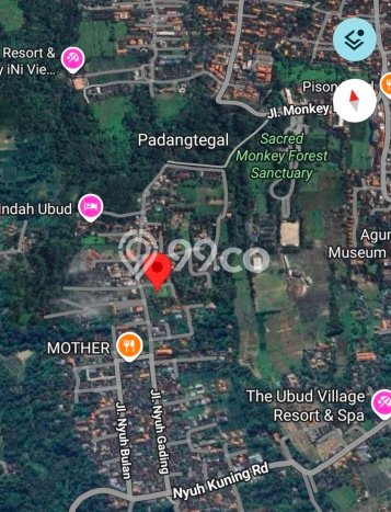 Tanah Siap Pakai Disewakan di Ubud, Gianyar, Luas 2250m2 Tanah Siap Pakai Disewakan di Ubud, Gianyar, Luas 2250m2