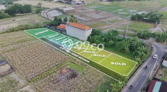Tanah Dijual Lokasi Strategis di Tabanan dengan Luas 100m2 Tanah Dijual Lokasi Strategis di Tabanan dengan Luas 100m2