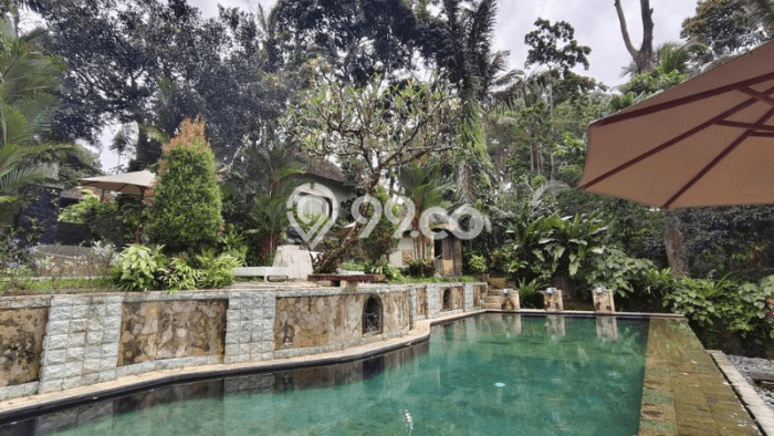 Untuk Dijual Tanah di Ubud Gianyar Luas 15400m2 SHM Untuk Dijual Tanah di Ubud Gianyar Luas 15400m2 SHM
