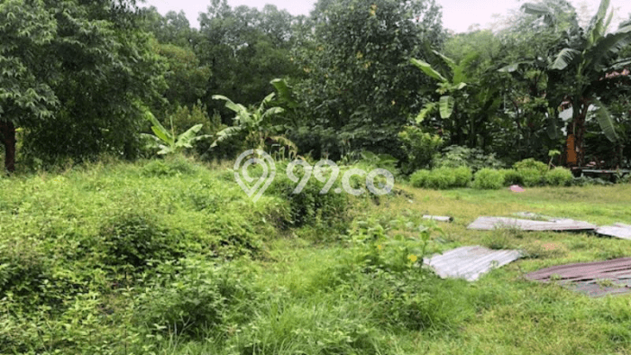 Jarang Ada! Tanah di Kuta Selatan Punya Luas 1700m2 SHM Jarang Ada! Tanah di Kuta Selatan Punya Luas 1700m2 SHM