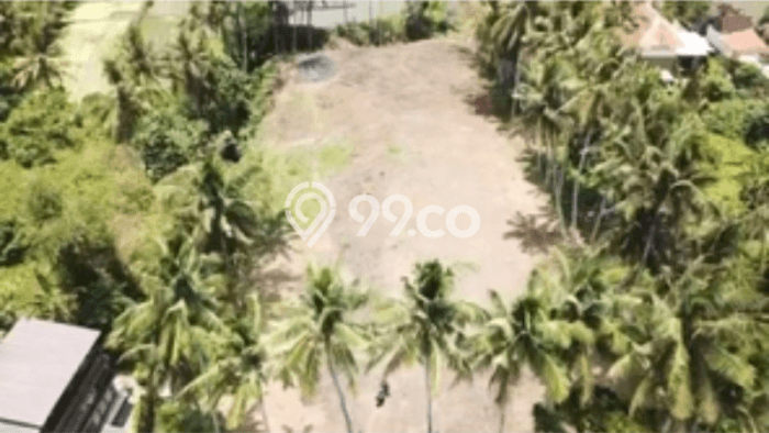Lahan untuk Dijual di Ubud Gianyar Luas 3400m2 Lahan untuk Dijual di Ubud Gianyar Luas 3400m2