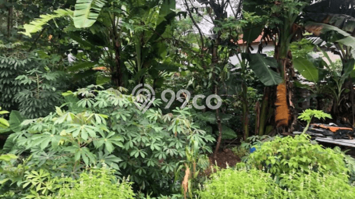Jarang Ada! Tanah di Kuta Selatan Punya Luas 1700m2 SHM Jarang Ada! Tanah di Kuta Selatan Punya Luas 1700m2 SHM