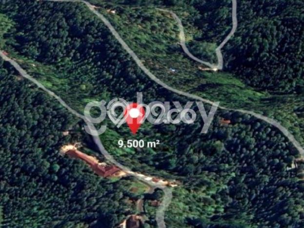 Tanah Dijual Lokasi Busungbiu, Buleleng dengan Luas Tanah 9500m2 dan Status SHM Tanah Dijual Lokasi Busungbiu, Buleleng dengan Luas Tanah 9500m2 dan Status SHM