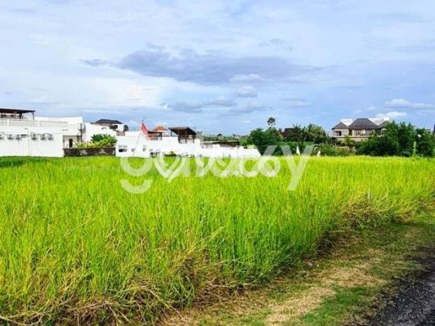 Jarang Ada! Tanah di Kuta Utara Punya Luas 300m2 SHM Jarang Ada! Tanah di Kuta Utara Punya Luas 300m2 SHM