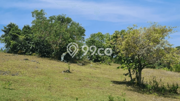 Untuk Dijual Tanah di Kuta Selatan Badung Luas 289m2 SHM Untuk Dijual Tanah di Kuta Selatan Badung Luas 289m2 SHM