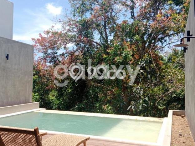 For Rent Vila Kawasan Kuta Selatan, Luas 175m2m², Dekat Mudah Kuta Selatan, Badung, Badung, Nilai Bersaing For Rent Vila Kawasan Kuta Selatan, Luas 175m2m², Dekat Mudah Kuta Selatan, Badung, Badung, Nilai Bersaing