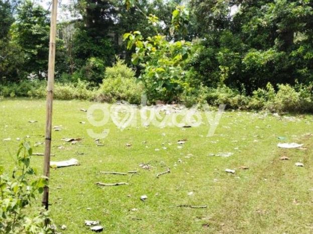 Tanah untuk Dijual di Kuta Selatan Badung Luas 1888m2 Tanah untuk Dijual di Kuta Selatan Badung Luas 1888m2