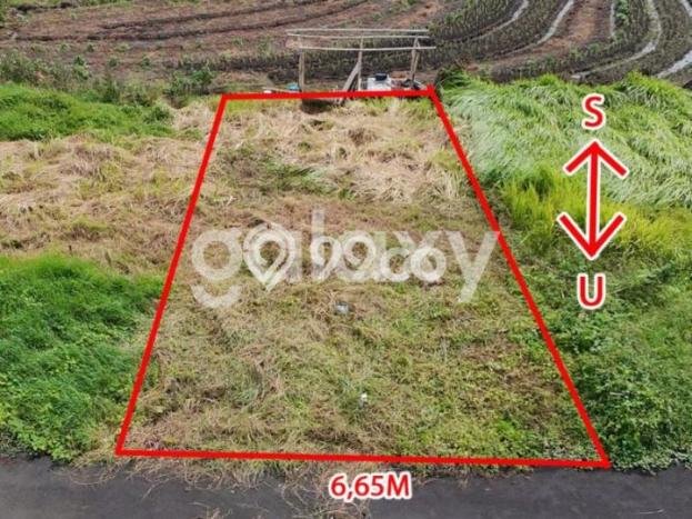 Kavling Tanah di Denpasar Barat Dijual Luas 109m2 Legalitas SHM Kavling Tanah di Denpasar Barat Dijual Luas 109m2 Legalitas SHM