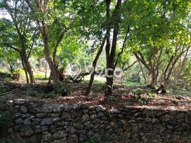 Untuk Dijual Tanah 27985m2 di Ungasan, Badung Untuk Dijual Tanah 27985m2 di Ungasan, Badung
