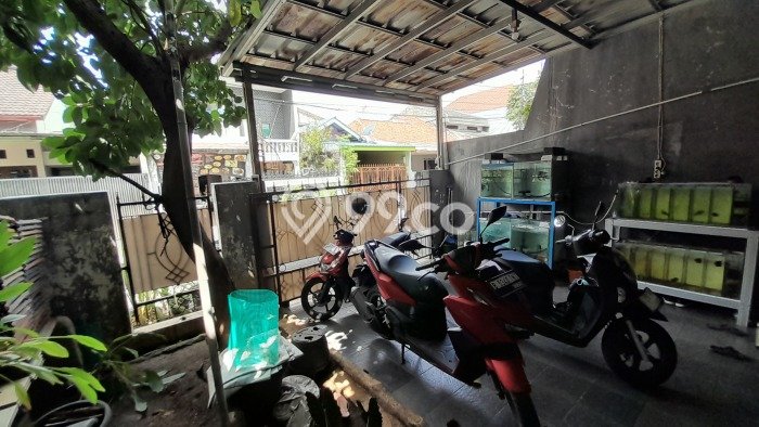 Jual Rumah Strategis Bagus Punya 5 KT di Duren Sawit Jakarta Timur - Jual Rumah Strategis Bagus Punya 5 KT di Duren Sawit Jakarta Timur -