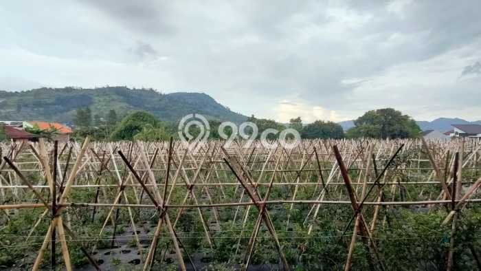 Dijual Tanah Lokasi Lembang, Bandung Seluas 4330m2 Dijual Tanah Lokasi Lembang, Bandung Seluas 4330m2