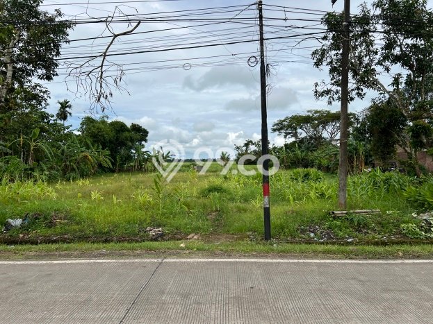 Kavling Tanah di Sobang Dijual Luas 4650m2 Legalitas SHM Kavling Tanah di Sobang Dijual Luas 4650m2 Legalitas SHM