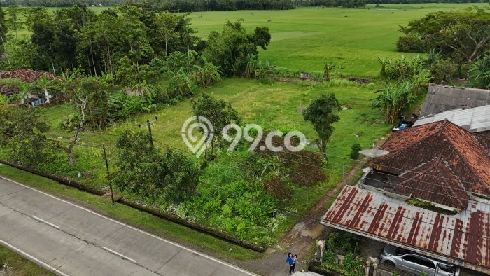 Kavling Tanah di Sobang Dijual Luas 4650m2 Legalitas SHM Kavling Tanah di Sobang Dijual Luas 4650m2 Legalitas SHM
