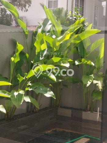 Dijual Rumah Premium dengan Fasilitas Sekitar Komplit di Karawaci, Tangerang Dijual Rumah Premium dengan Fasilitas Sekitar Komplit di Karawaci, Tangerang