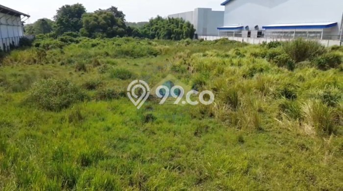 Lahan untuk Dijual Lokasi Cikupa, Tangerang Luas 5700m2 - Lahan untuk Dijual Lokasi Cikupa, Tangerang Luas 5700m2 -
