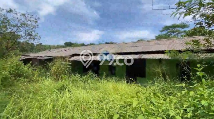 Kavling Tanah di Ciseeng Dijual Luas 13625m2 Legalitas SHM Kavling Tanah di Ciseeng Dijual Luas 13625m2 Legalitas SHM