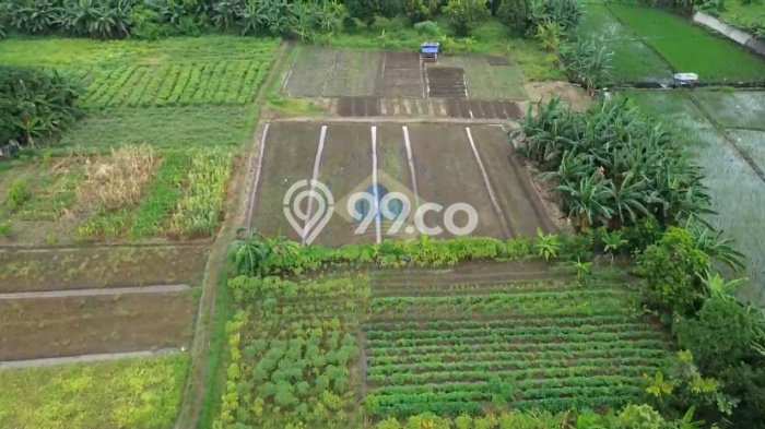 Tanah Kawasan , Luas 45640m2m², Lokasi Strategis Tanah Kawasan , Luas 45640m2m², Lokasi Strategis
