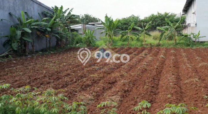 Tanah Dijual Lokasi Gunung Sindur Bogor SHM Tanah Dijual Lokasi Gunung Sindur Bogor SHM
