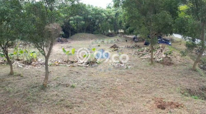 Lahan untuk Dijual Lokasi Cikupa, Tangerang Luas 3719m2 SHM Lahan untuk Dijual Lokasi Cikupa, Tangerang Luas 3719m2 SHM
