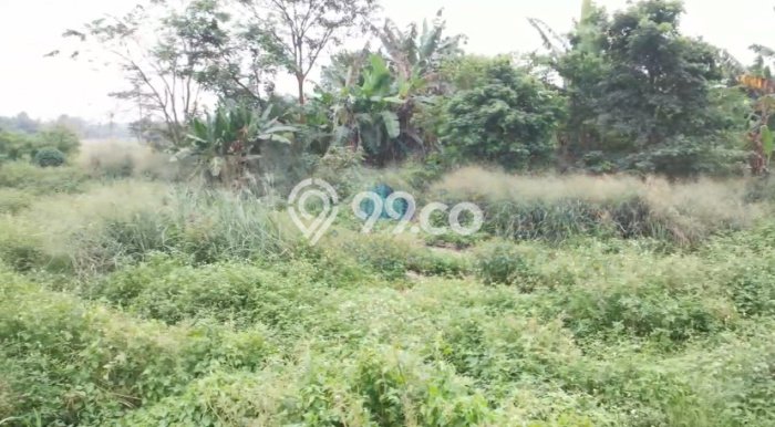Tanah Kavling di Legok Dijual dengan Luas 70605m2 Tanah Kavling di Legok Dijual dengan Luas 70605m2