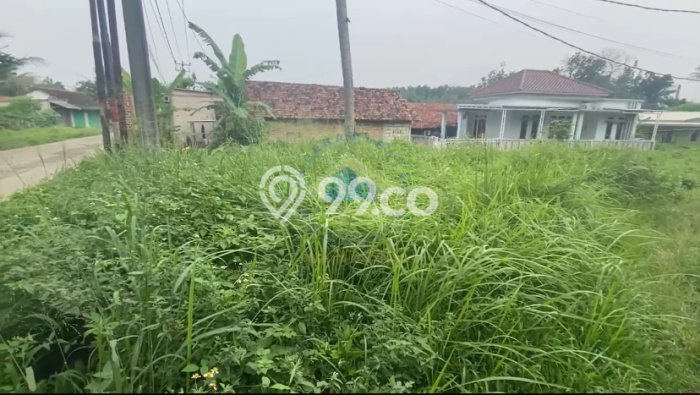 Jarang Ada! Tanah di Jambe Punya Luas 810m2 SHM Jarang Ada! Tanah di Jambe Punya Luas 810m2 SHM