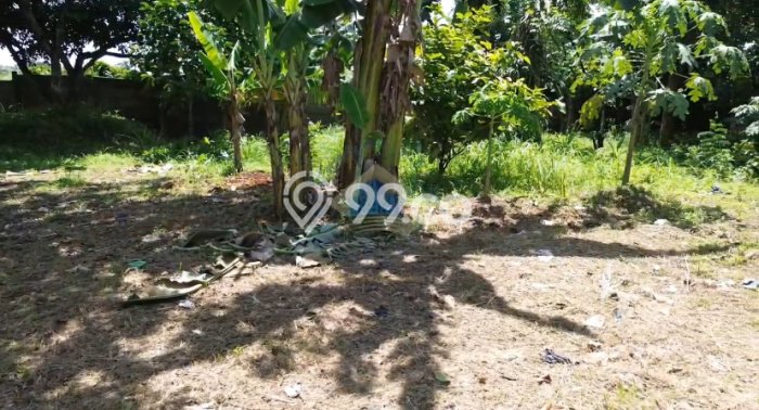 Tanah Dijual Lokasi Pagedangan Tangerang AJB Tanah Dijual Lokasi Pagedangan Tangerang AJB