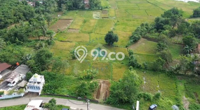 Tanah untuk Dijual Lokasi Jambe, Tangerang Luas 5893m2 SHM Tanah untuk Dijual Lokasi Jambe, Tangerang Luas 5893m2 SHM