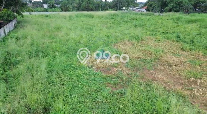 Jarang Ada! Tanah di Kelapa Dua Punya Luas 10696m2 SHM Jarang Ada! Tanah di Kelapa Dua Punya Luas 10696m2 SHM