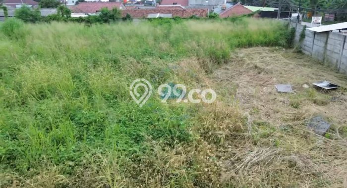 Jarang Ada! Tanah di Kelapa Dua Punya Luas 10696m2 SHM Jarang Ada! Tanah di Kelapa Dua Punya Luas 10696m2 SHM