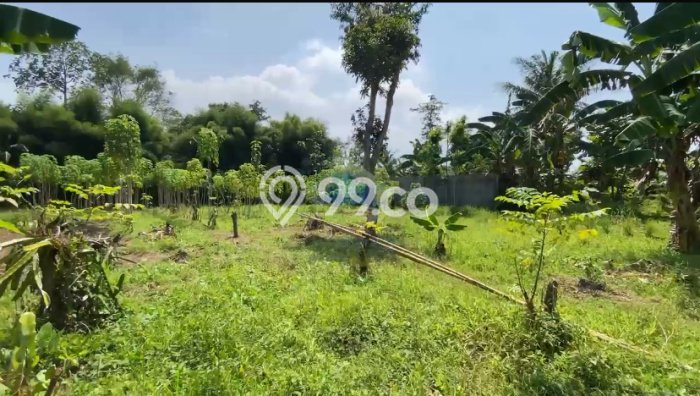 Tanah Kavling di Cikande Dijual dengan Luas 18000m2 Tanah Kavling di Cikande Dijual dengan Luas 18000m2