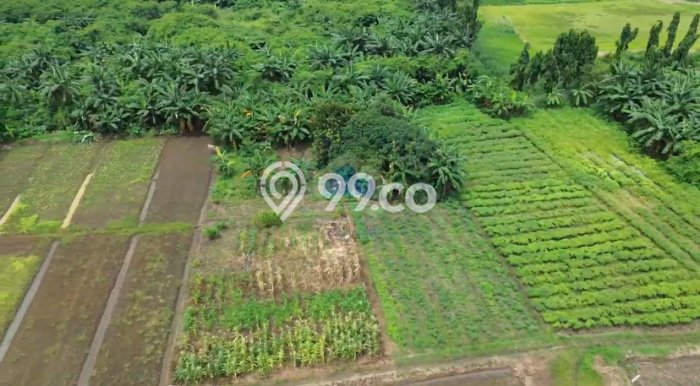 Tanah Kawasan , Luas 45640m2m², Lokasi Strategis Tanah Kawasan , Luas 45640m2m², Lokasi Strategis