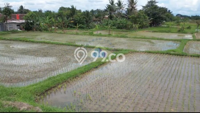 Tanah untuk Dijual di Jayanti Tangerang Luas 11165m2 Tanah untuk Dijual di Jayanti Tangerang Luas 11165m2