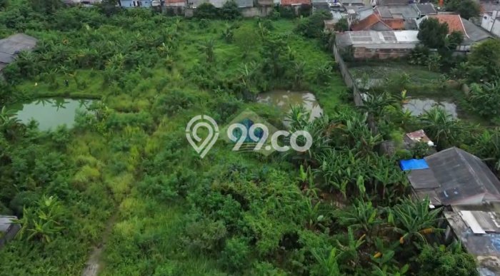 Jarang Ada! Tanah di Curug Punya Luas 8267m2 SHM Jarang Ada! Tanah di Curug Punya Luas 8267m2 SHM