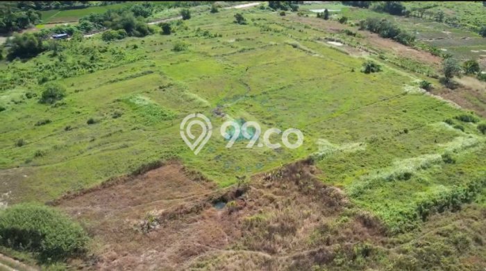 Dijual Tanah di Rangkasbitung Lebak Luas 51110m2 - Dijual Tanah di Rangkasbitung Lebak Luas 51110m2 -