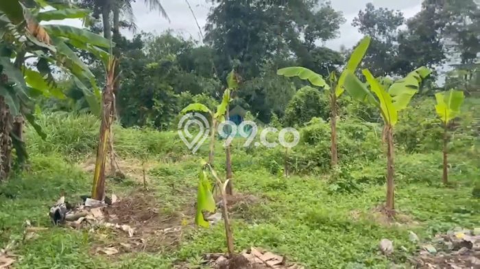 Dijual Tanah di Jambe, Luas 1917m2m², Dekat Jambe, Tangerang, Tangerang Dijual Tanah di Jambe, Luas 1917m2m², Dekat Jambe, Tangerang, Tangerang
