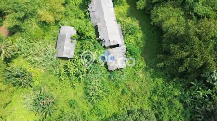 Kavling Tanah di Ciseeng Dijual Luas 13625m2 Legalitas SHM Kavling Tanah di Ciseeng Dijual Luas 13625m2 Legalitas SHM
