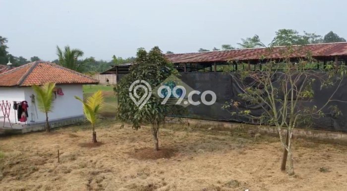 Dijual Tanah di Cisauk Tangerang Luas 4400m2 AJB Dijual Tanah di Cisauk Tangerang Luas 4400m2 AJB
