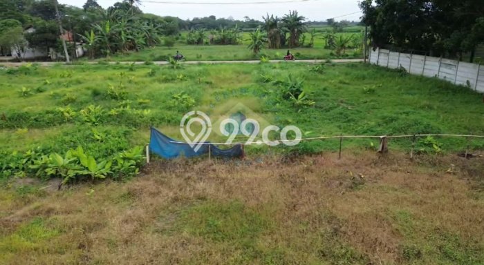 Jarang Ada! Tanah di Cisauk Punya Luas 4000m2 AJB Jarang Ada! Tanah di Cisauk Punya Luas 4000m2 AJB