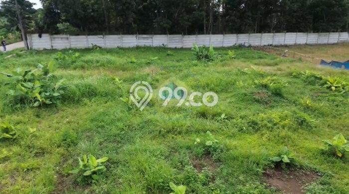 Jarang Ada! Tanah di Cisauk Punya Luas 4000m2 AJB Jarang Ada! Tanah di Cisauk Punya Luas 4000m2 AJB