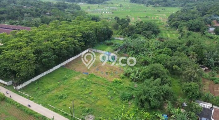 Jarang Ada! Tanah di Cisauk Punya Luas 4000m2 AJB Jarang Ada! Tanah di Cisauk Punya Luas 4000m2 AJB