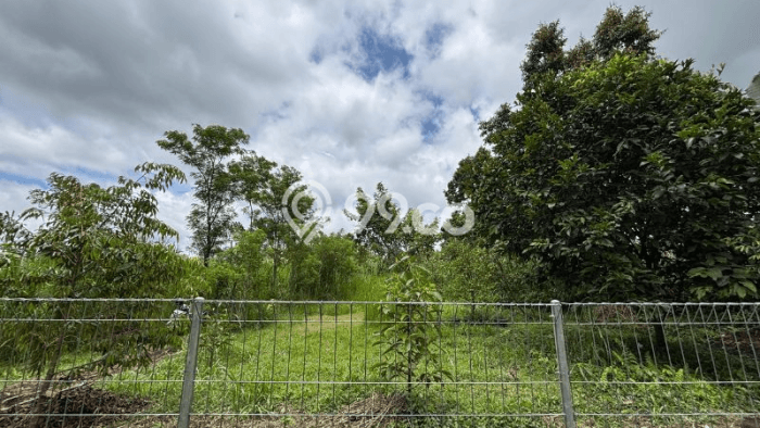 Tanah Dijual Lokasi Ubud, Gianyar Luas 2093m2 Legalitas Aman Tanah Dijual Lokasi Ubud, Gianyar Luas 2093m2 Legalitas Aman