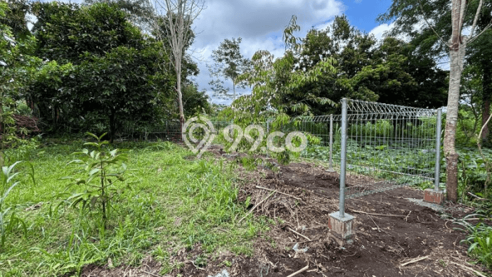 Tanah Dijual Lokasi Ubud, Gianyar Luas 2093m2 Legalitas Aman Tanah Dijual Lokasi Ubud, Gianyar Luas 2093m2 Legalitas Aman