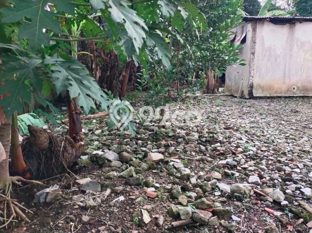 Tanah untuk Dijual di Cibinong Bogor Luas 800m2 Tanah untuk Dijual di Cibinong Bogor Luas 800m2
