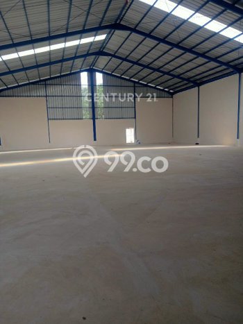 Gudang Bagus Dijual di Lemah Abang Bekasi Lokasi Strategis Cocok untuk Kembangkan Bisnis Gudang Bagus Dijual di Lemah Abang Bekasi Lokasi Strategis Cocok untuk Kembangkan Bisnis