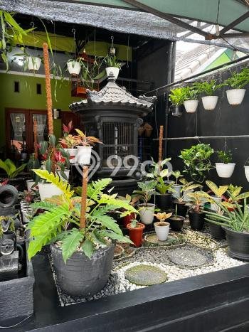 Dijual Rumah 5 Kamar Lokasi Strategis Bagus dan Strategis di Gunung Putri Dijual Rumah 5 Kamar Lokasi Strategis Bagus dan Strategis di Gunung Putri