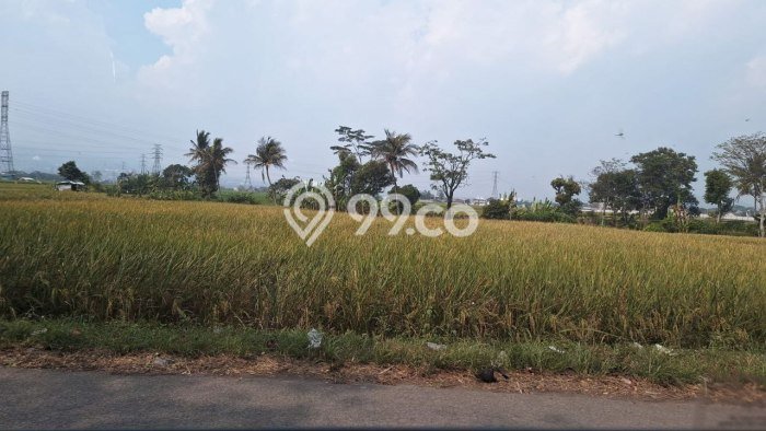 Tanah Strategis Dijual di Padalarang Bandung Barat 20000m2 Tanah Strategis Dijual di Padalarang Bandung Barat 20000m2