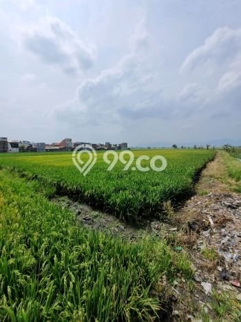 Kavling Tanah Dijual di Bojongsoang, Bandung, Luas 28000m2 Area Strategis Kavling Tanah Dijual di Bojongsoang, Bandung, Luas 28000m2 Area Strategis
