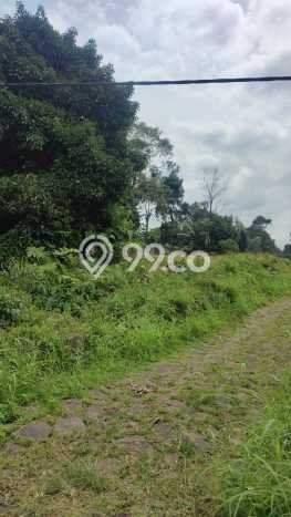 Tanah Dijual Lokasi Babakan Madang, Bogor dengan Luas Tanah 3607m2 dan Status SHM Tanah Dijual Lokasi Babakan Madang, Bogor dengan Luas Tanah 3607m2 dan Status SHM