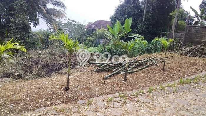 Tanah Dijual Lokasi Babakan Madang, Bogor dengan Luas Tanah 3607m2 dan Status SHM Tanah Dijual Lokasi Babakan Madang, Bogor dengan Luas Tanah 3607m2 dan Status SHM