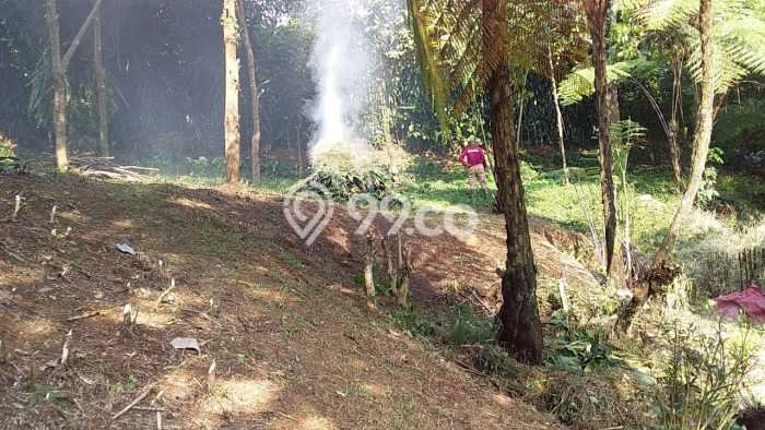 Tanah Dijual Lokasi Babakan Madang, Bogor dengan Luas Tanah 3607m2 dan Status SHM Tanah Dijual Lokasi Babakan Madang, Bogor dengan Luas Tanah 3607m2 dan Status SHM